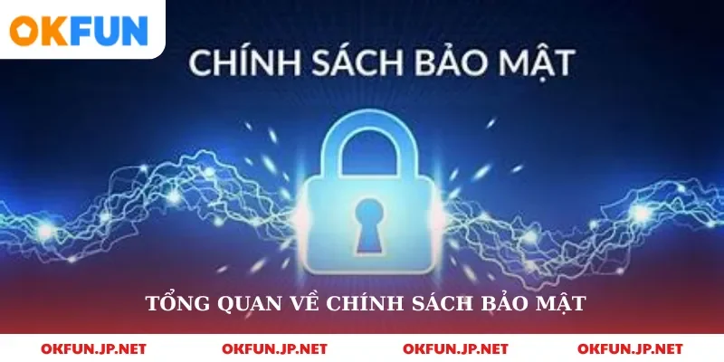 Tổng quan về chính sách bảo mật 