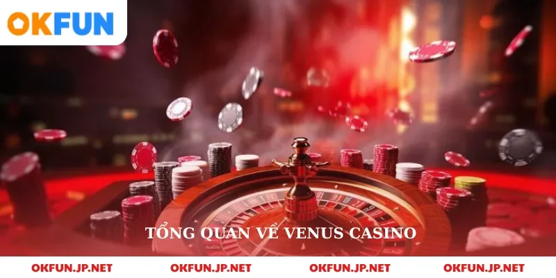 Tổng quan về venus casino 